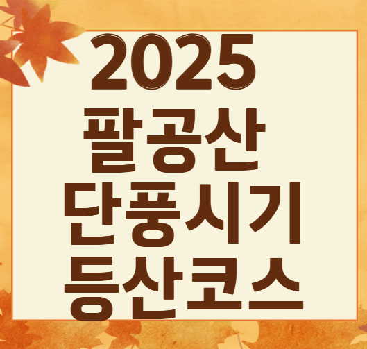 2025 팔공산 단풍 절정 시기 공개! 초보자도 즐기는 가을 등산코스 BEST