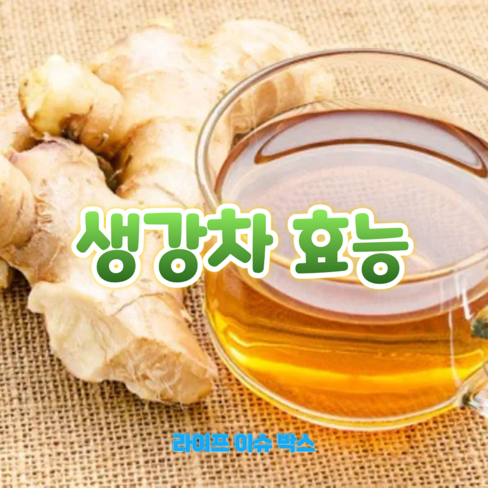 생강차 효능