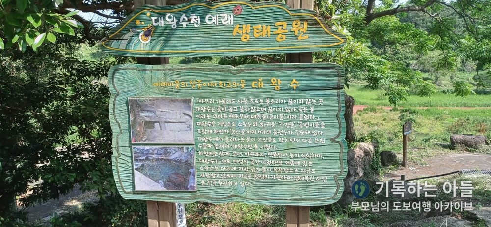 대왕수 유래 안내판