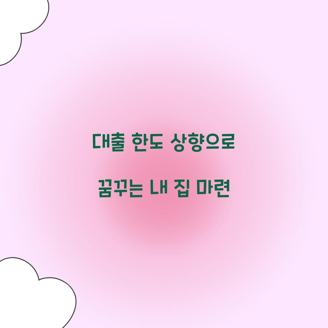 대출 한도 상향