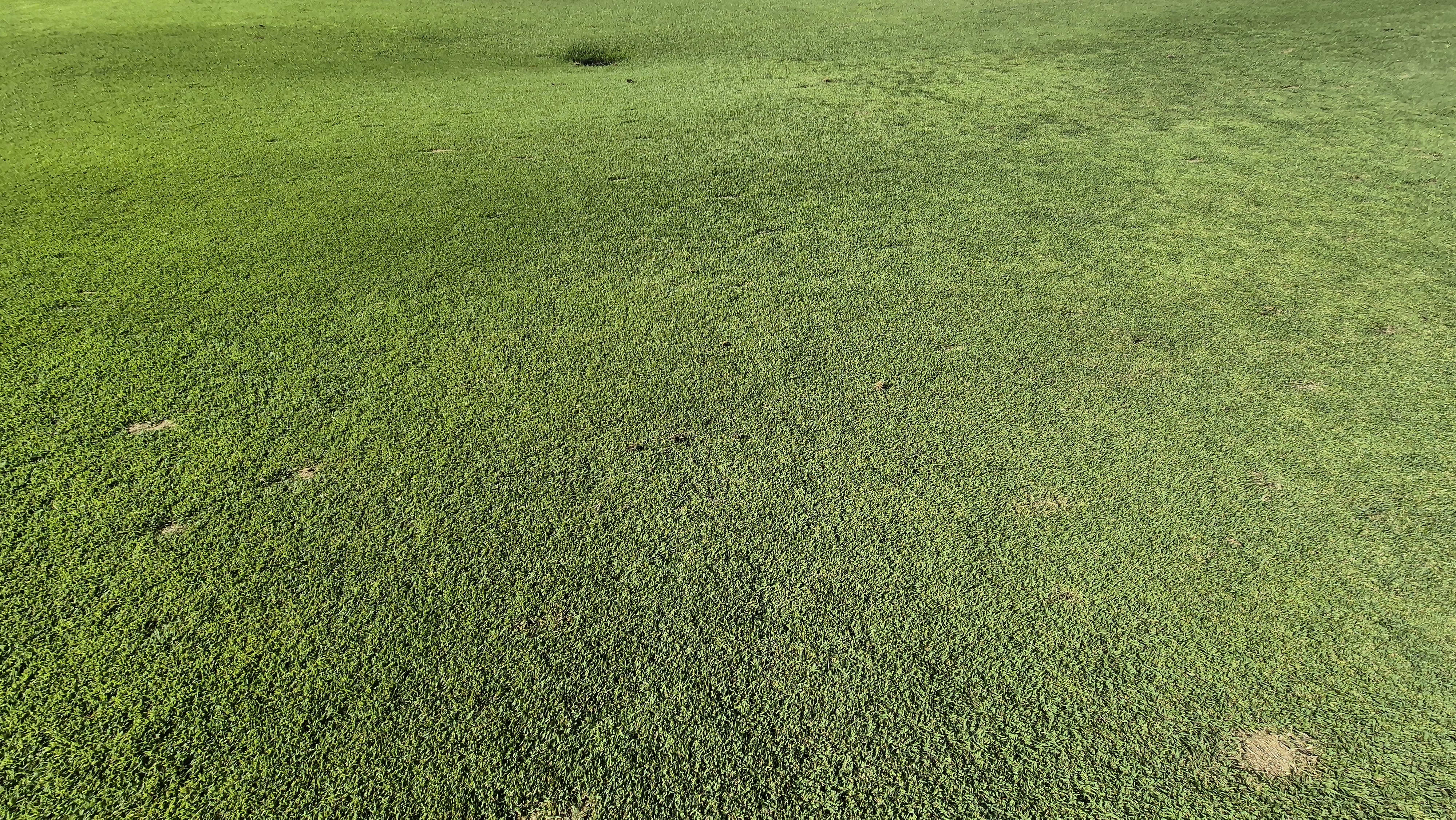 골프존카운티 천안 라운드 후기