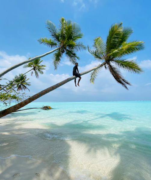 사이판 입국심사 질문