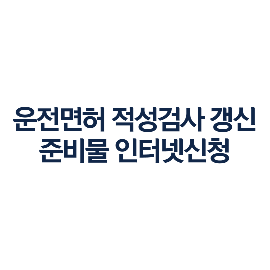 운전면허 적성검사