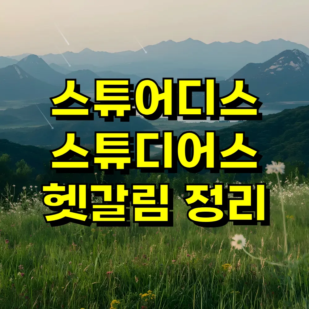 스튜어디스 스튜디어스 헷갈림 정리