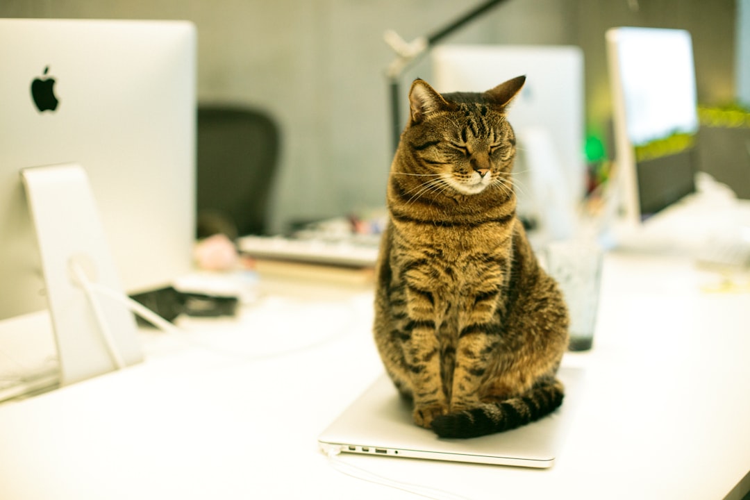Task Manager