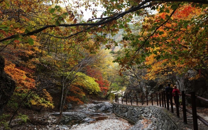 [국내가을여행지추천] 단풍명소 - 경북 가을 여행지 추천 주왕산