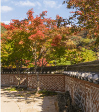 화담숲 전경사진