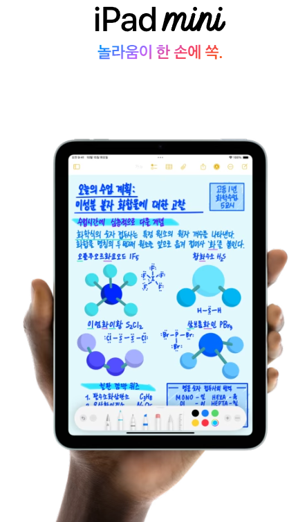 아이패드 미니