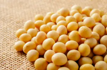 메주콩 가격 및 효능, 영양소, 영양성분