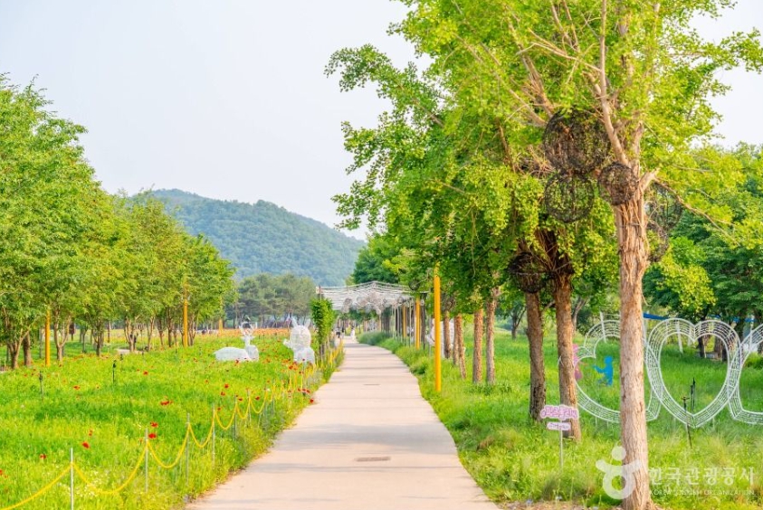 가평 가볼만한곳 베스트 10