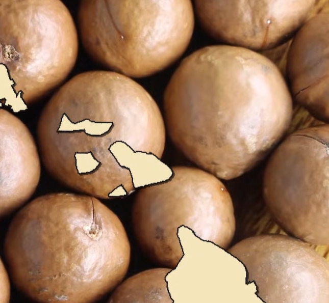 마카다미아의 효능