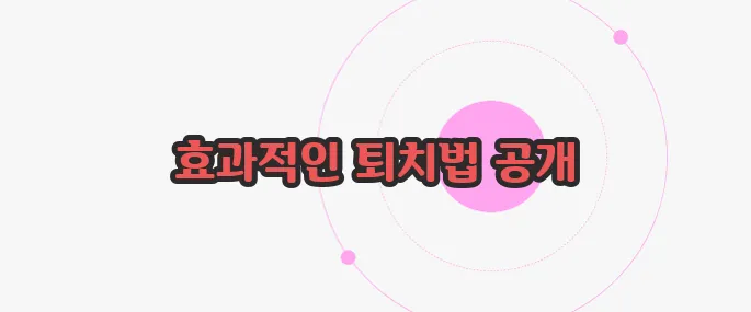 바퀴벌레 퇴치방법 지금부터 들여다보죠