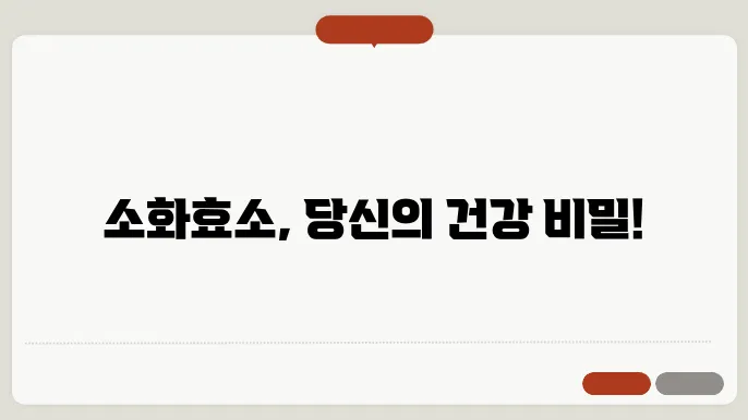 소화효소 종류 및 효능 알아보기