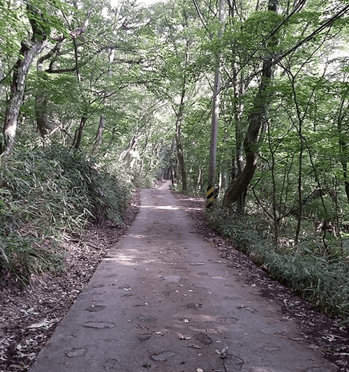 서래봉06