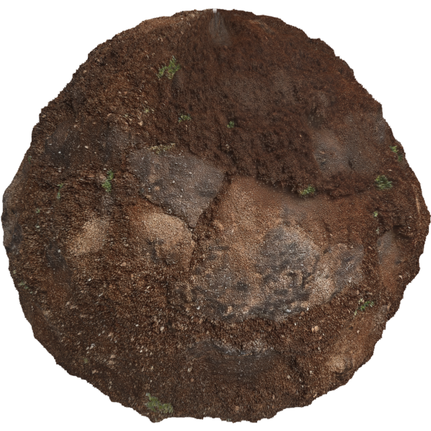 rough dark soil texture 1