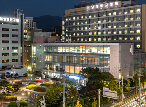 우리동네 일요일에 문 여는 병원 찾기 (전국)