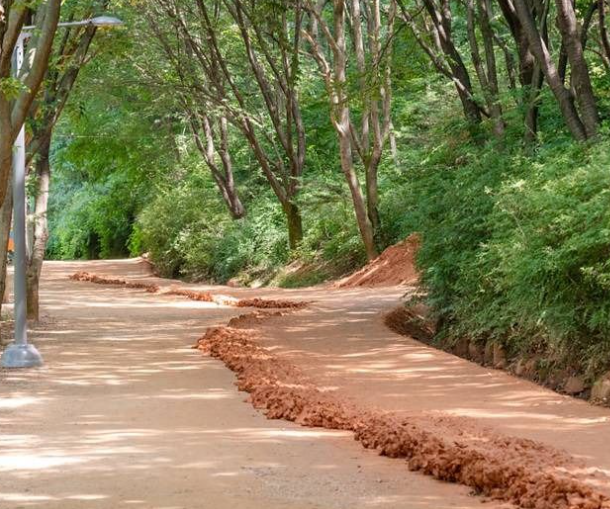 대전 가볼만한곳 베스트10