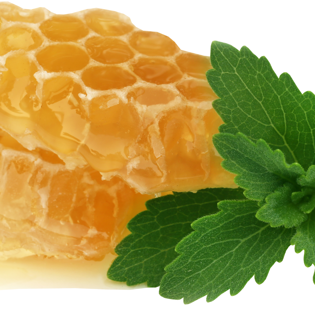 비염에 좋은 음식 7가지 추천