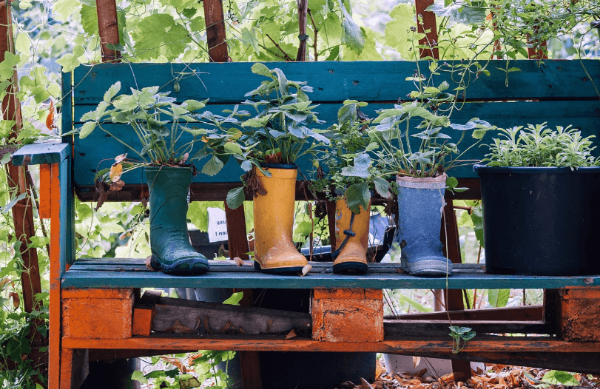 분갈이 제대로 하는 방법, 재미있는 모양 화분