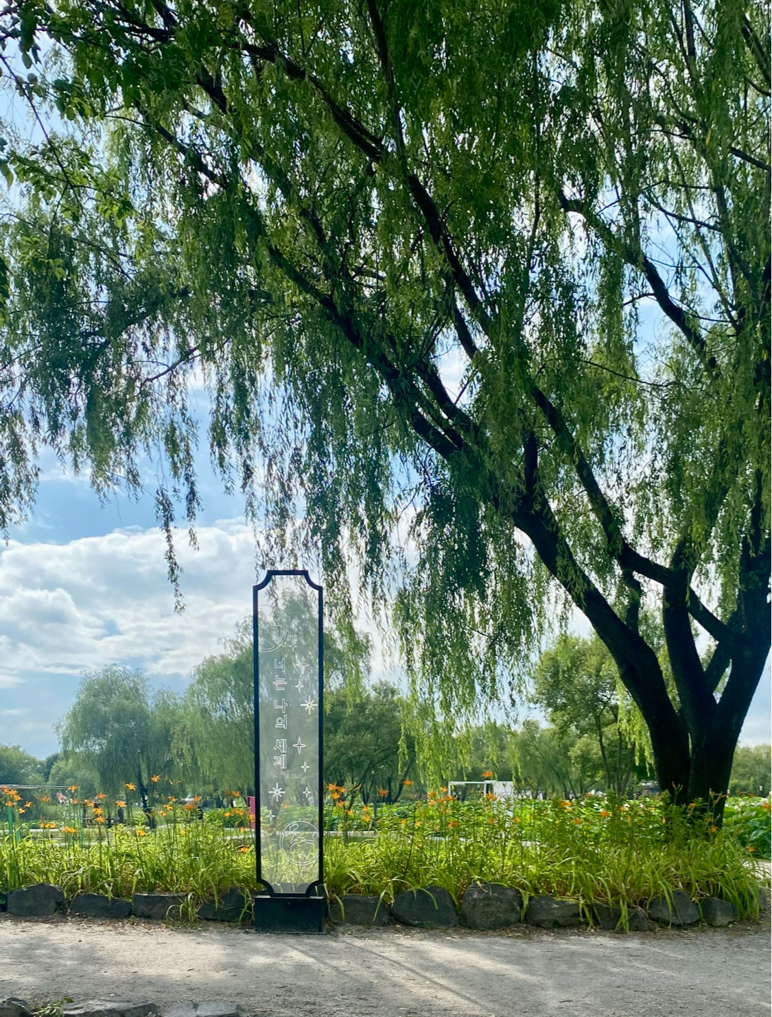 궁남지-부여 서동 연꽃 축제