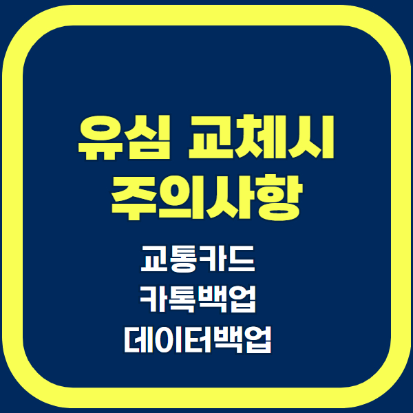 유심 교체 주의사항