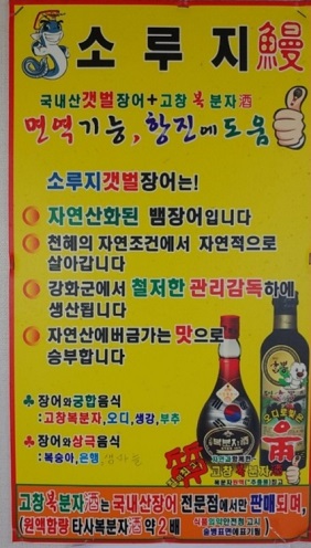 소루지갯벌장어
