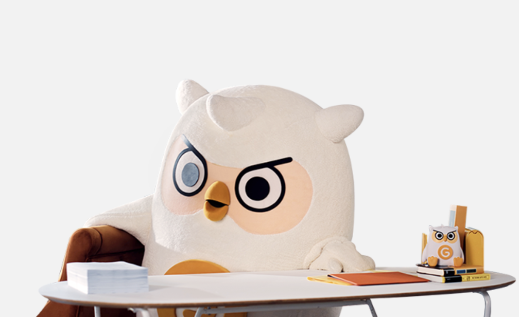 운전자보험 비교사이트 15