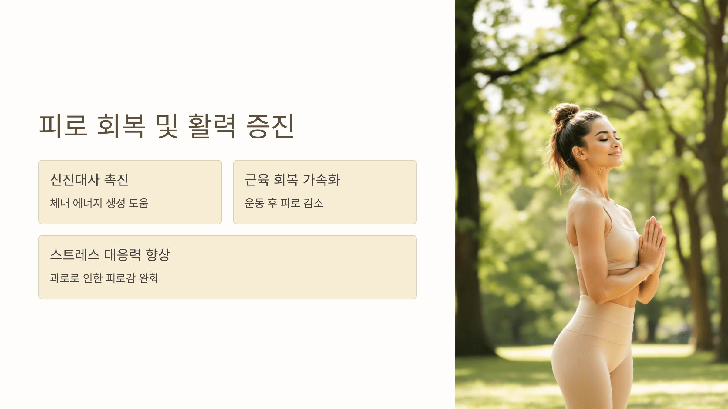 비타민C와 관련된 사진입니다.