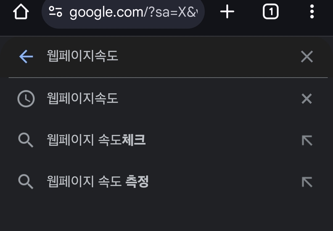 웹페이지속도측정