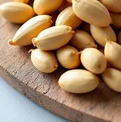 이명에좋은음식 이미지