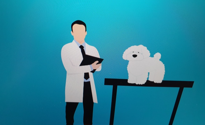 동물병원-의사와-강아지