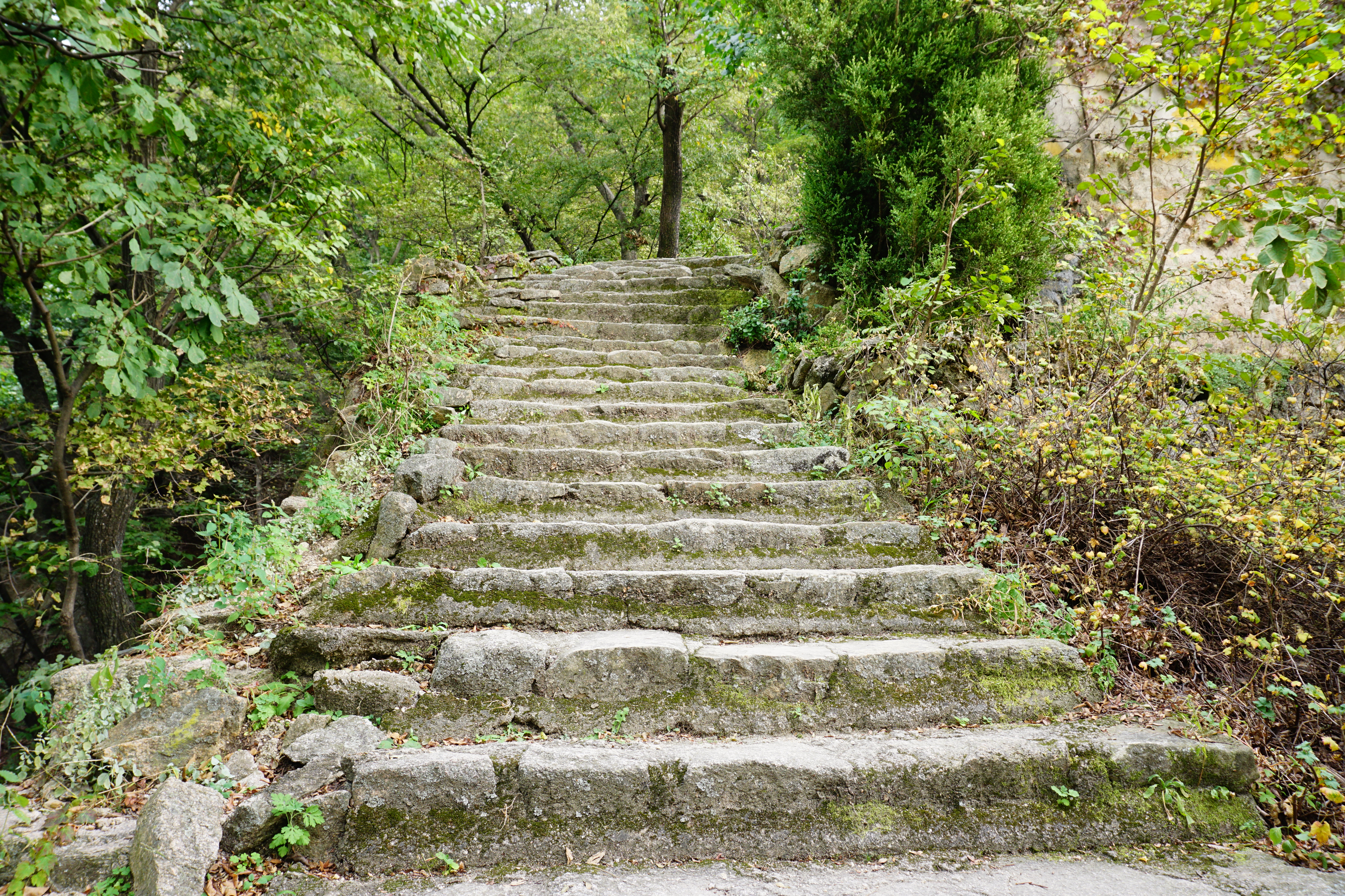 원효암으로 오르는 돌계단길