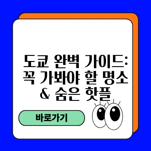 도쿄 완벽 가이드: 꼭 가봐야 할 명소 & 숨은 핫플