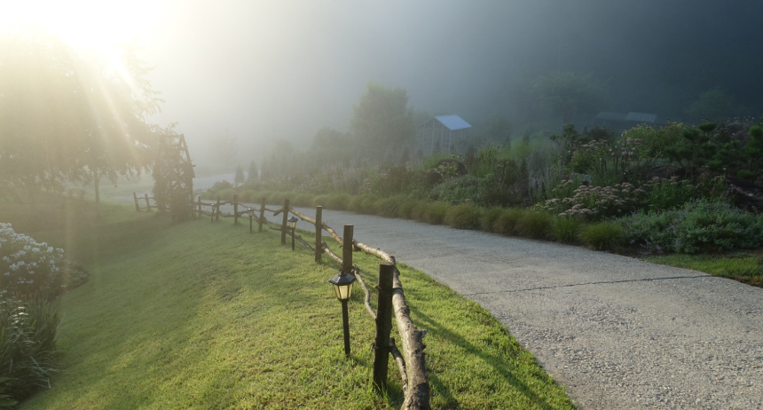 특색있고 아름다운 민간 정원 30선 추천 여행 - 12. 인제 찍박골 정원