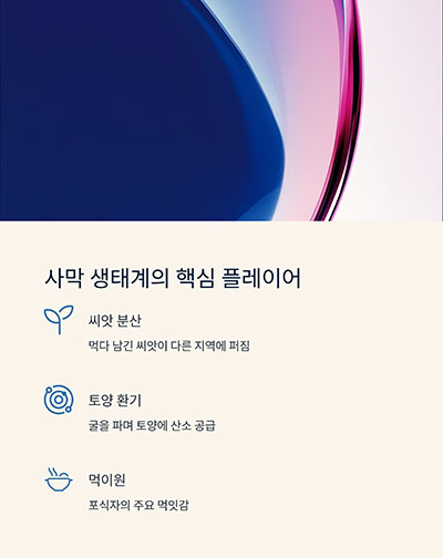 사막 생태계에서 뛰는쥐가 중요한 이유