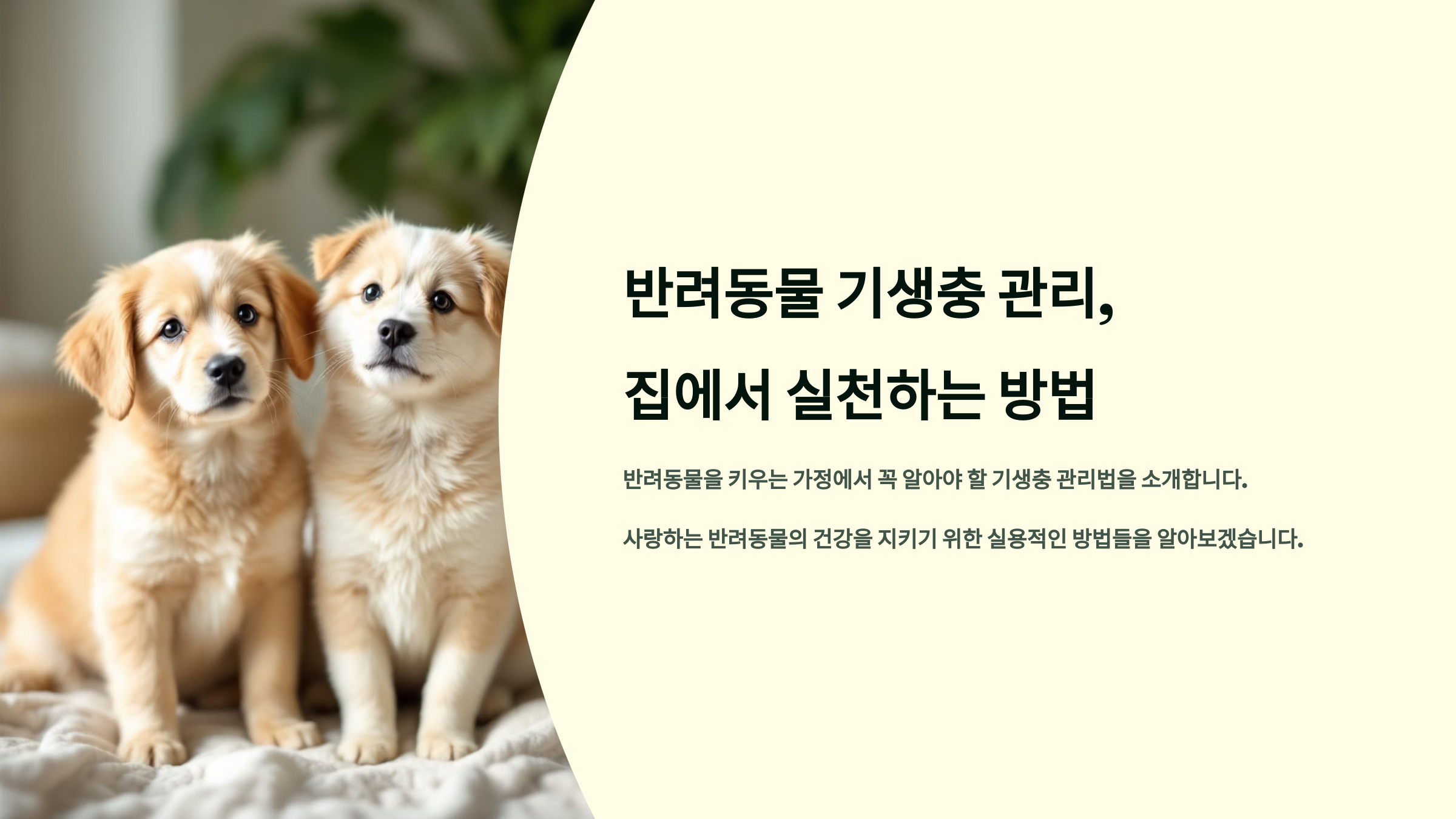 반려동물 기생충 관리, 집에서 실천하는 방법