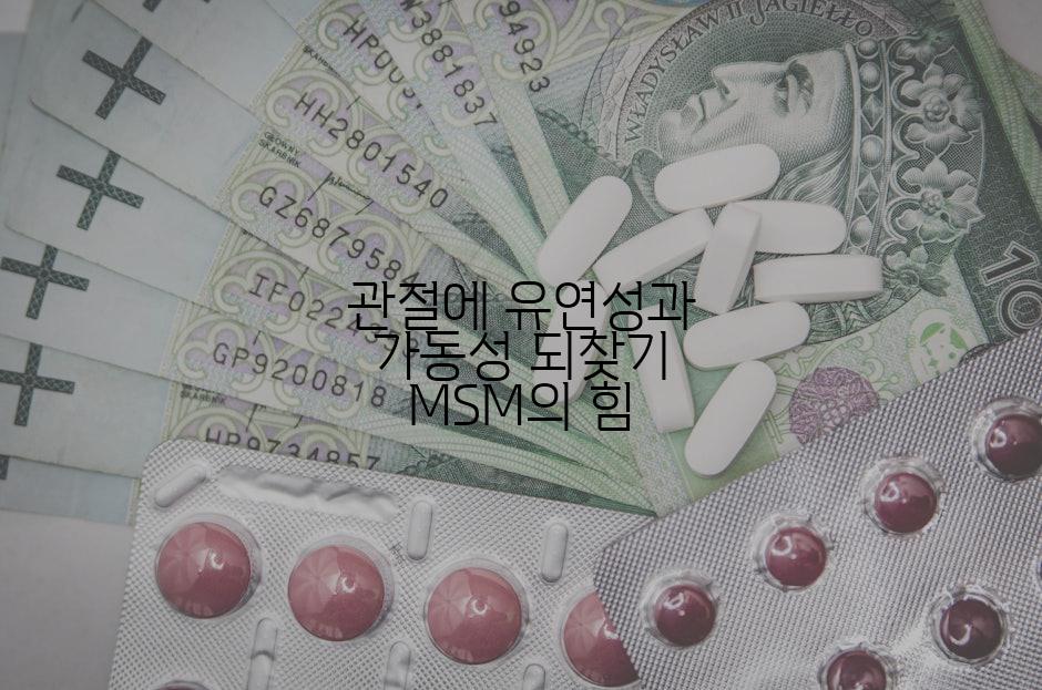 관절에 유연성과 가동성 되찾기 MSM의 힘