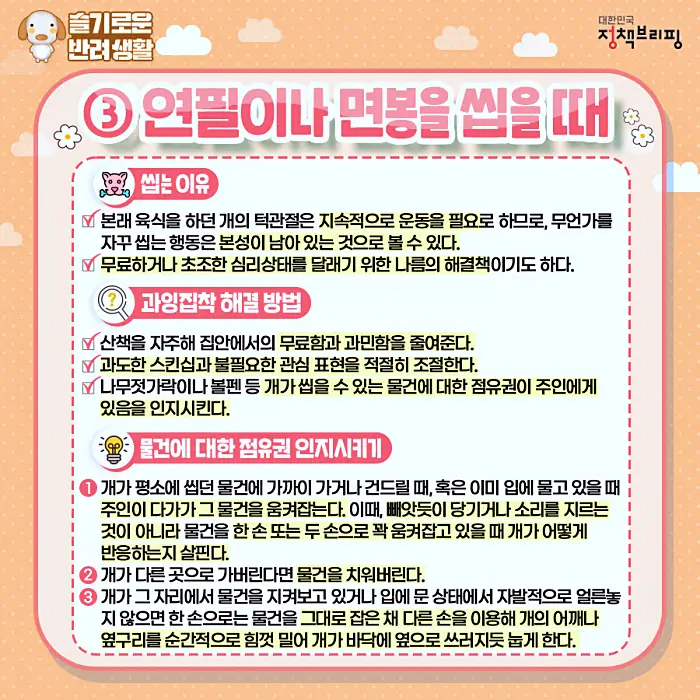 반려견 강아지의 행동 강박장애 어떤 행동이며 어떤 의미일까