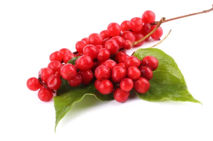 오미자 효능 12가지와 부작용은?