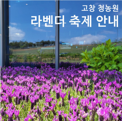 6월 축제 행사
