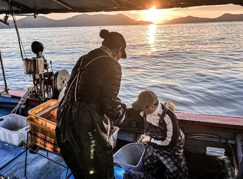 오늘N 이 맛에 산다 통영 다연호 자연산 바다장어 돌문어 구매방법