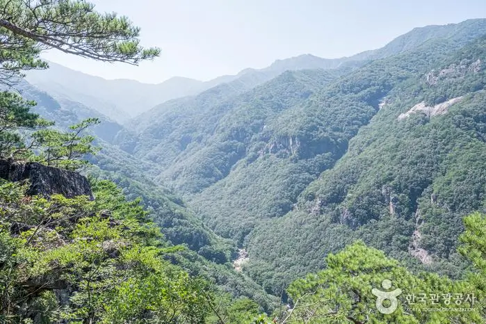 6e5af439-f8aa-4d5e-82aa-640e78677e37