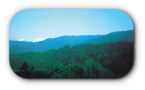 오대산국립공원
