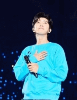 임영웅 갤러리 팬카페 인스타 콘서트