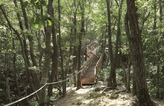 청양 가볼만한곳 베스트10