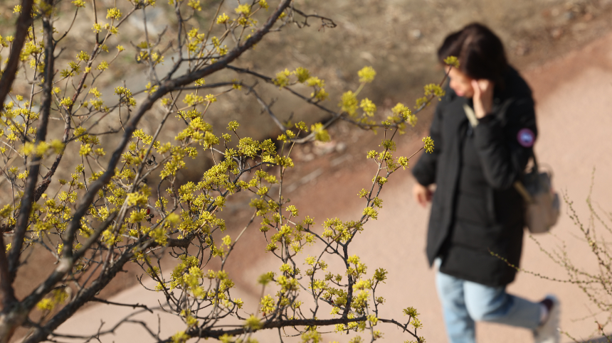 계절의 변화를 세분화한 24 절기 중 '춘분' 이해하기