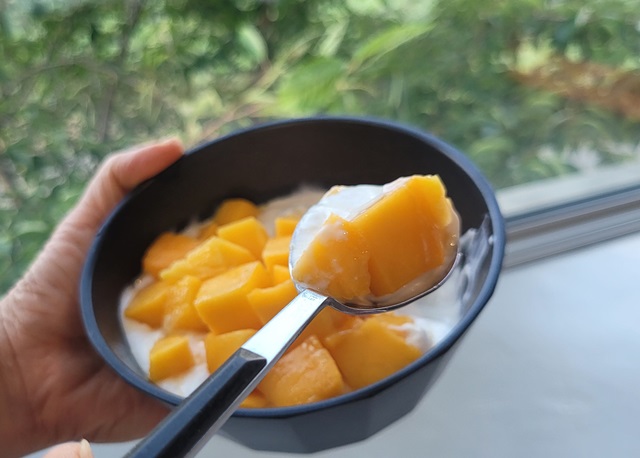 제주농협에서-산-제주산-애플망고-진짜-최고