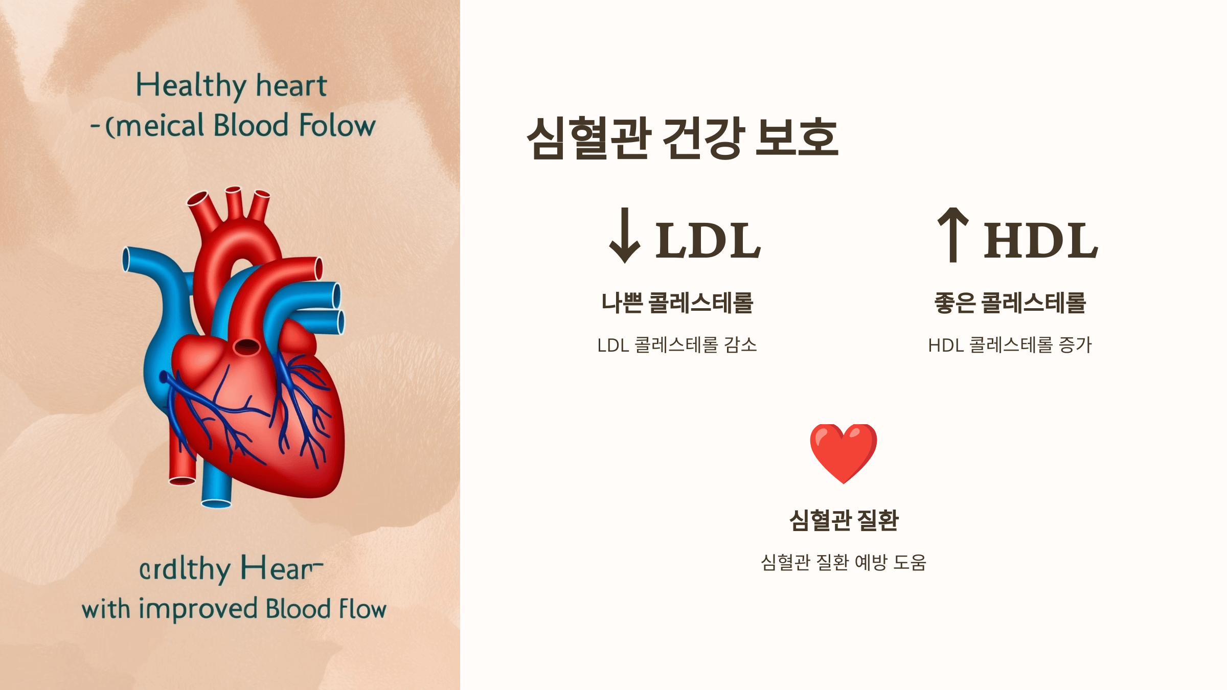 프로폴리스와 관련된 사진입니다.