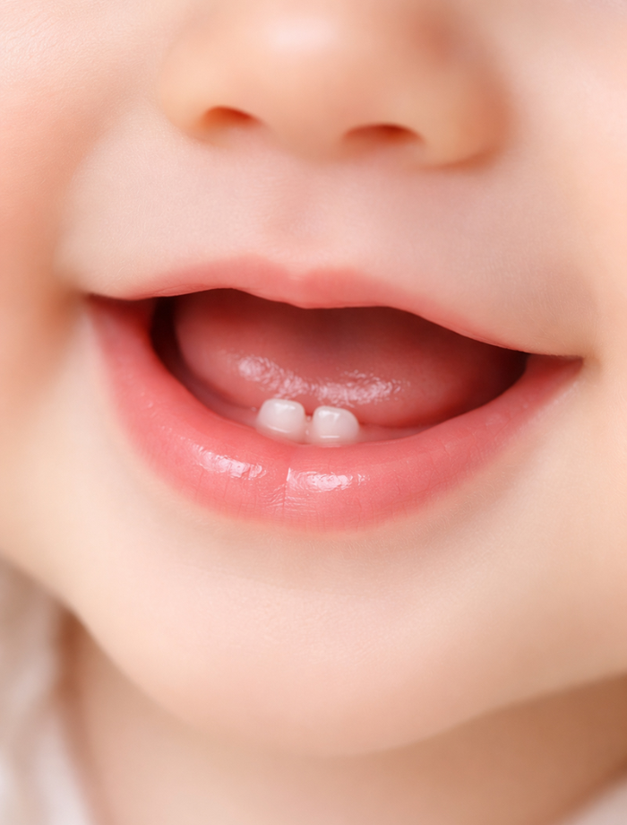 아기 첫니 나는 시기와 순서, 아기 아래 첫니 난 사진