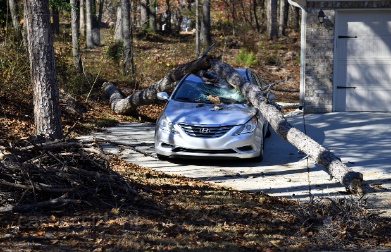 해외거주자 실비환급 신청